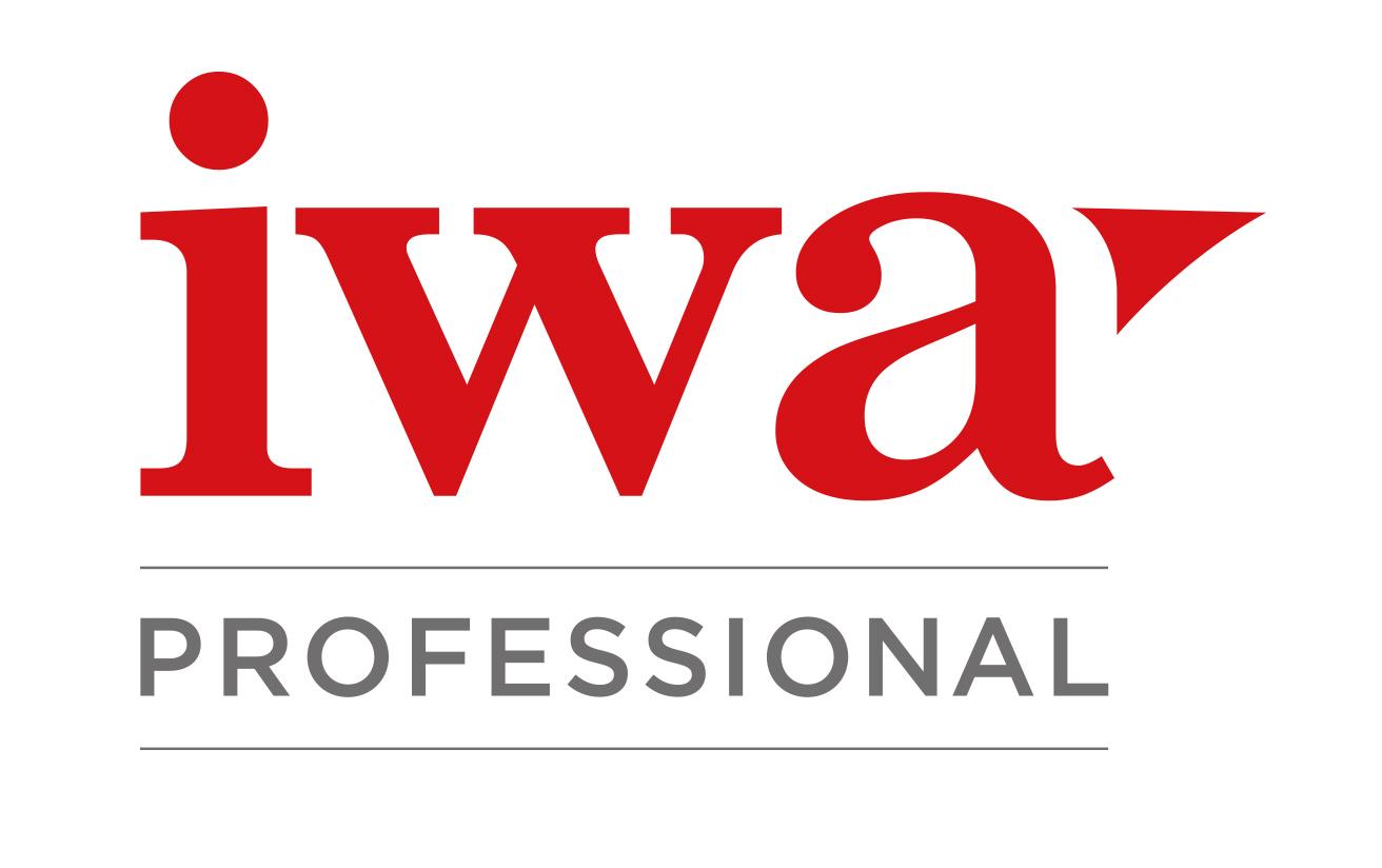 IWA Professional Training: Decision Making in Wales - Institute of ...